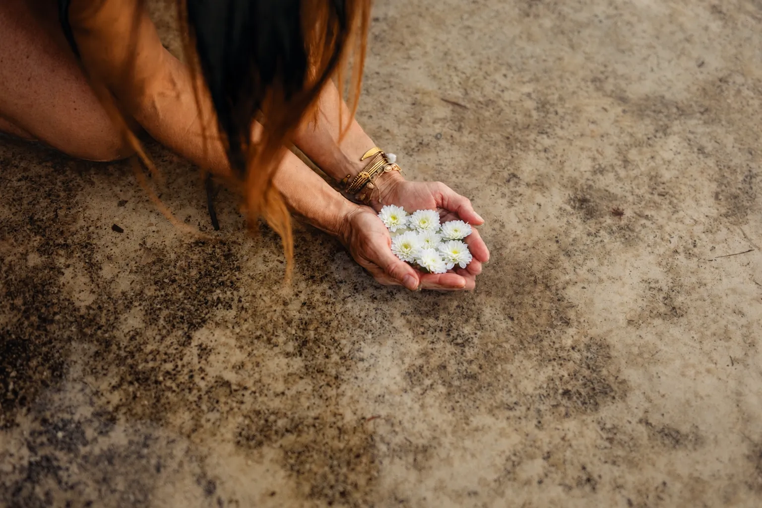 Hands holding daisies